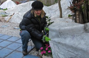 Siobhan covers her plants with freeze cloth