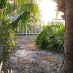 Before- a nasty pathway to the waterfront