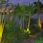 moellers_AFTpoolNight3